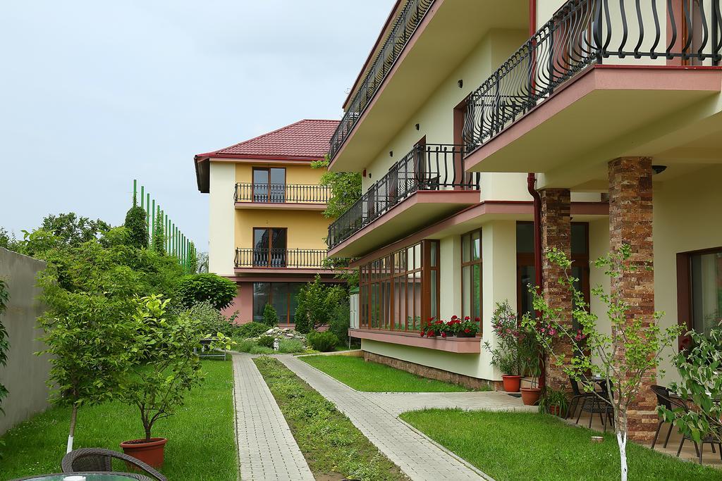 Pensiunea Genesa Dumbravita  Exterior photo
